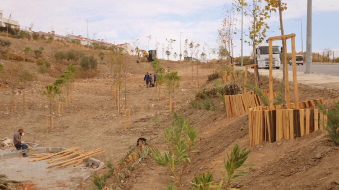 İzmir Buca’da Erozyonla Mücadele İçin Teraslama ve Ağaçlandırma - Merhaba İzmir
