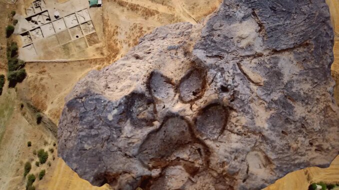 Tavşanlı Höyük’te 4 Bin Yıl Öncesinden Köpek Pati İzleri Keşfedildi - Merhaba İzmir